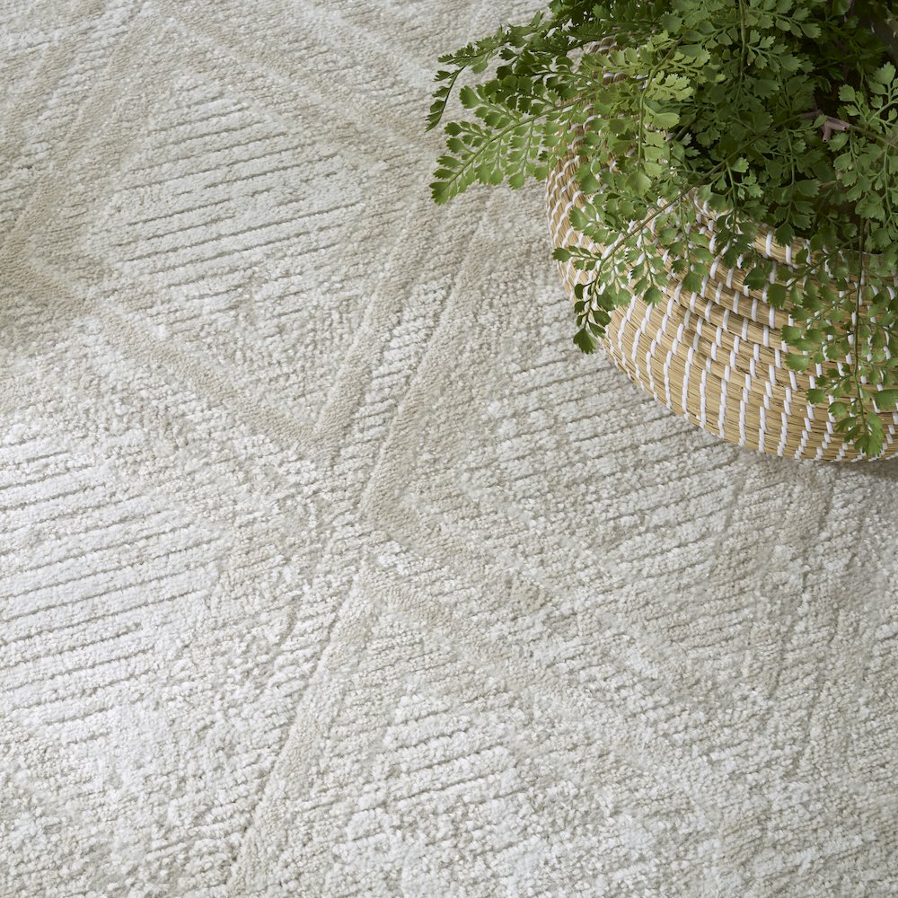 Nourison Home Dekor Area Rug. Picture 8
