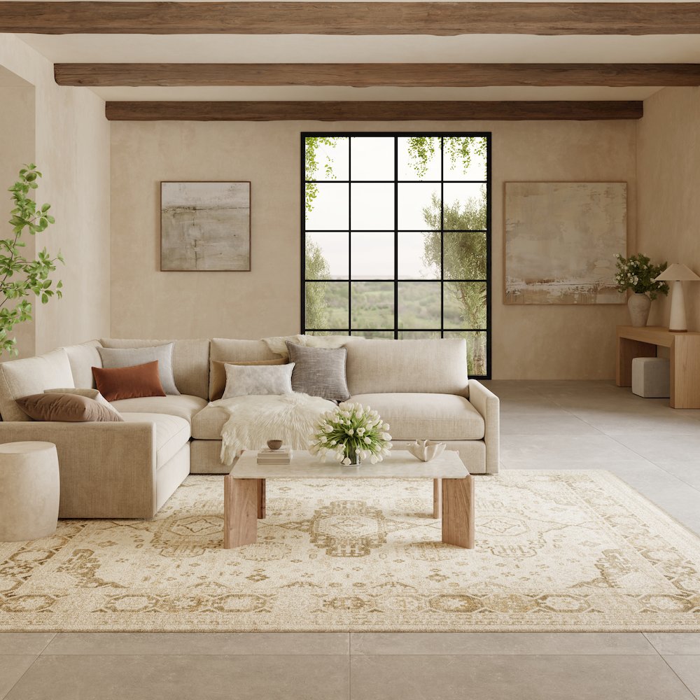 Nourison Home Pardis Area Rug. Picture 2