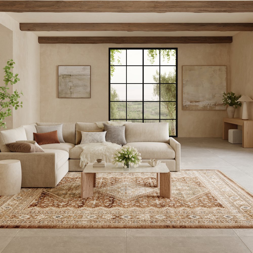 Nourison Home Pardis Area Rug. Picture 2