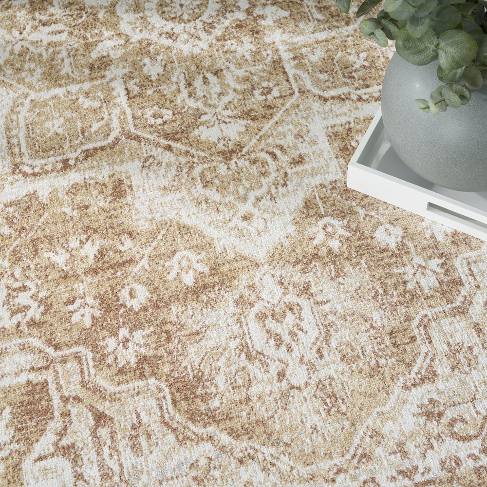 Nourison Home Astra Machine Washable Area Rug. Picture 8