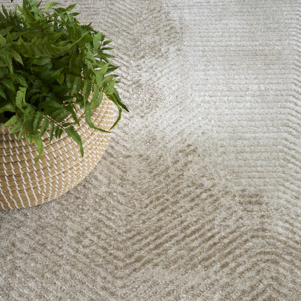 Nourison Home Dekor Area Rug. Picture 8