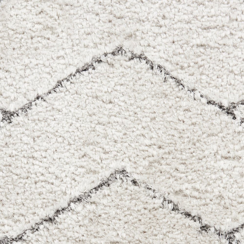 Nourison Home Luxurious Shag Area Rug. Picture 6