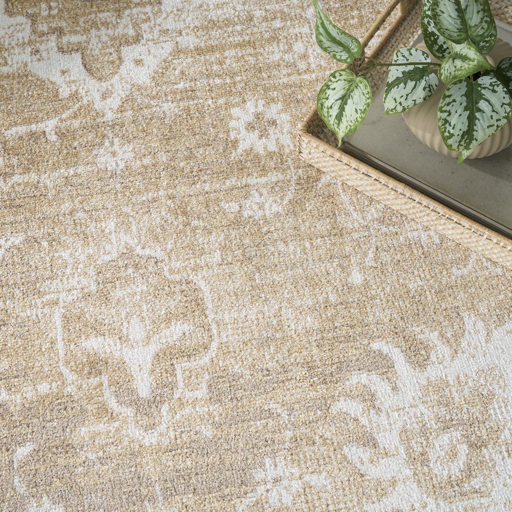 Nourison Home Astra Machine Washable Area Rug. Picture 8