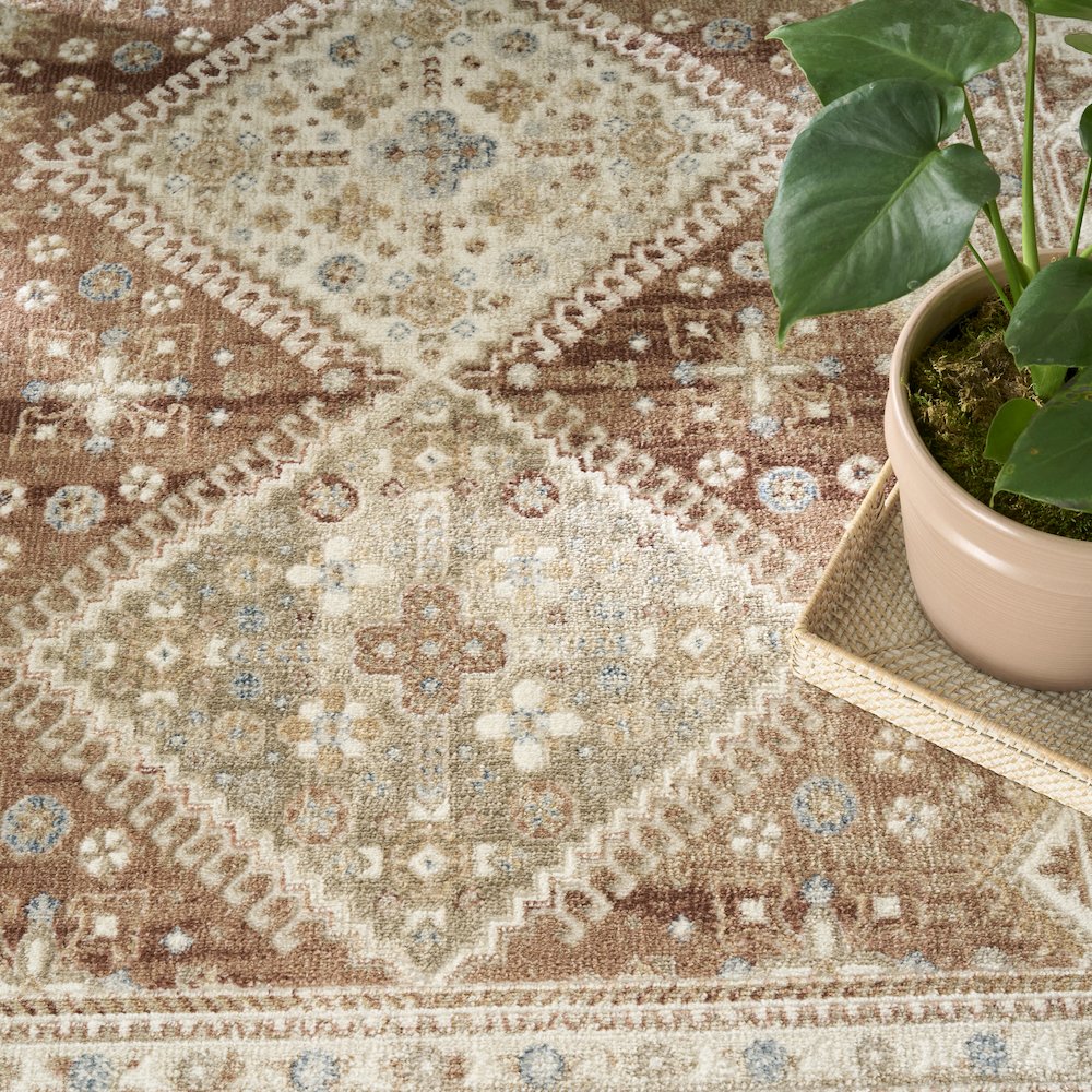 Nourison Home Pardis Area Rug. Picture 8