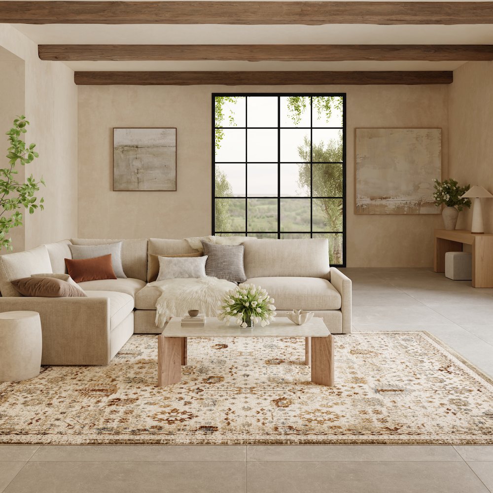 Nourison Home Pardis Area Rug. Picture 2