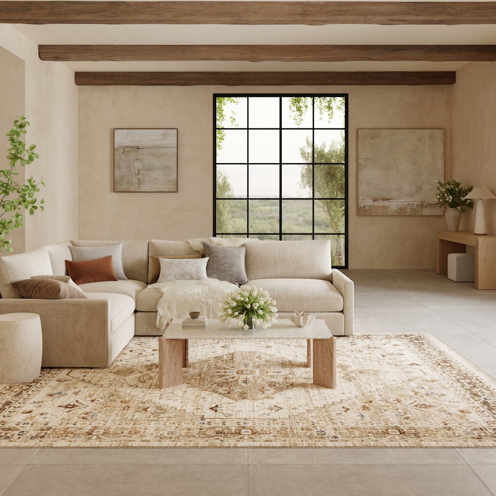 Nourison Home Pardis Area Rug. Picture 2