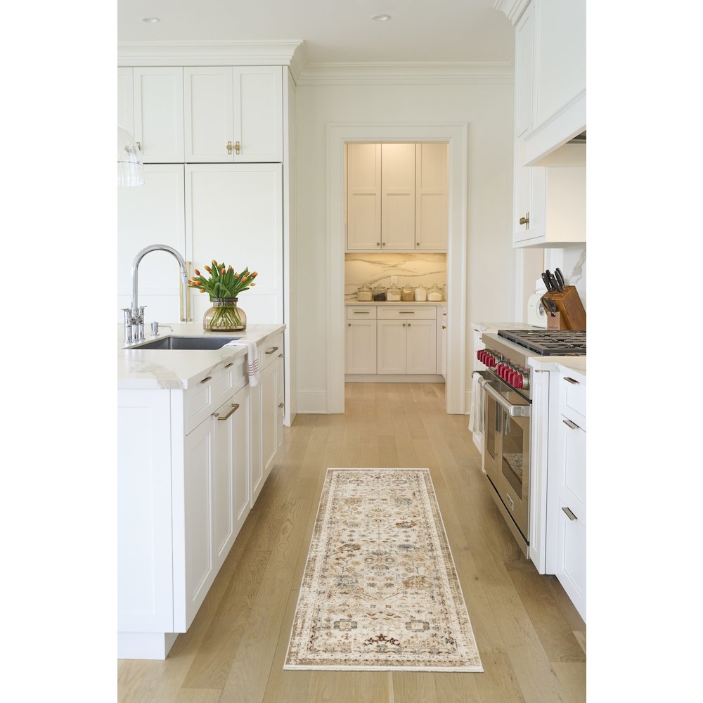 Nourison Home Pardis Area Rug. Picture 2