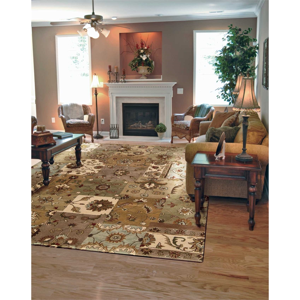 Jaipur Light Multi Area Rug. Picture 2