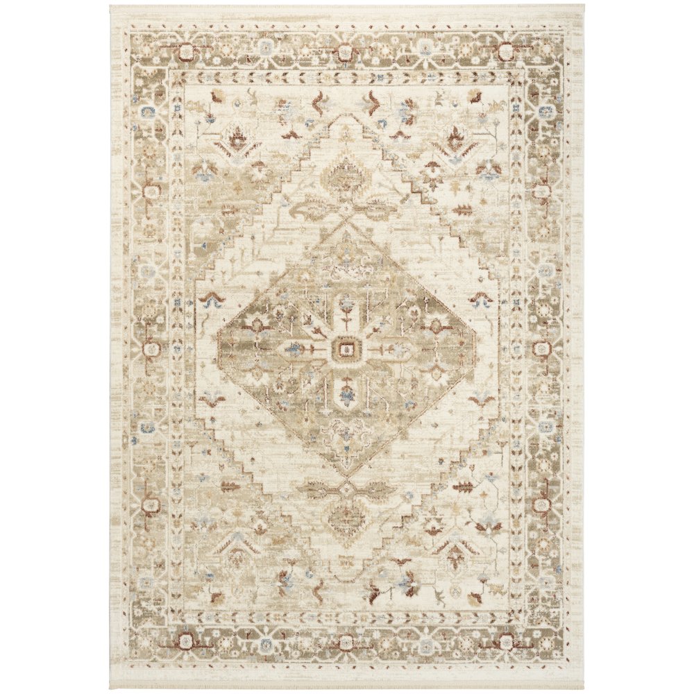 Nourison Home Pardis Area Rug. Picture 1