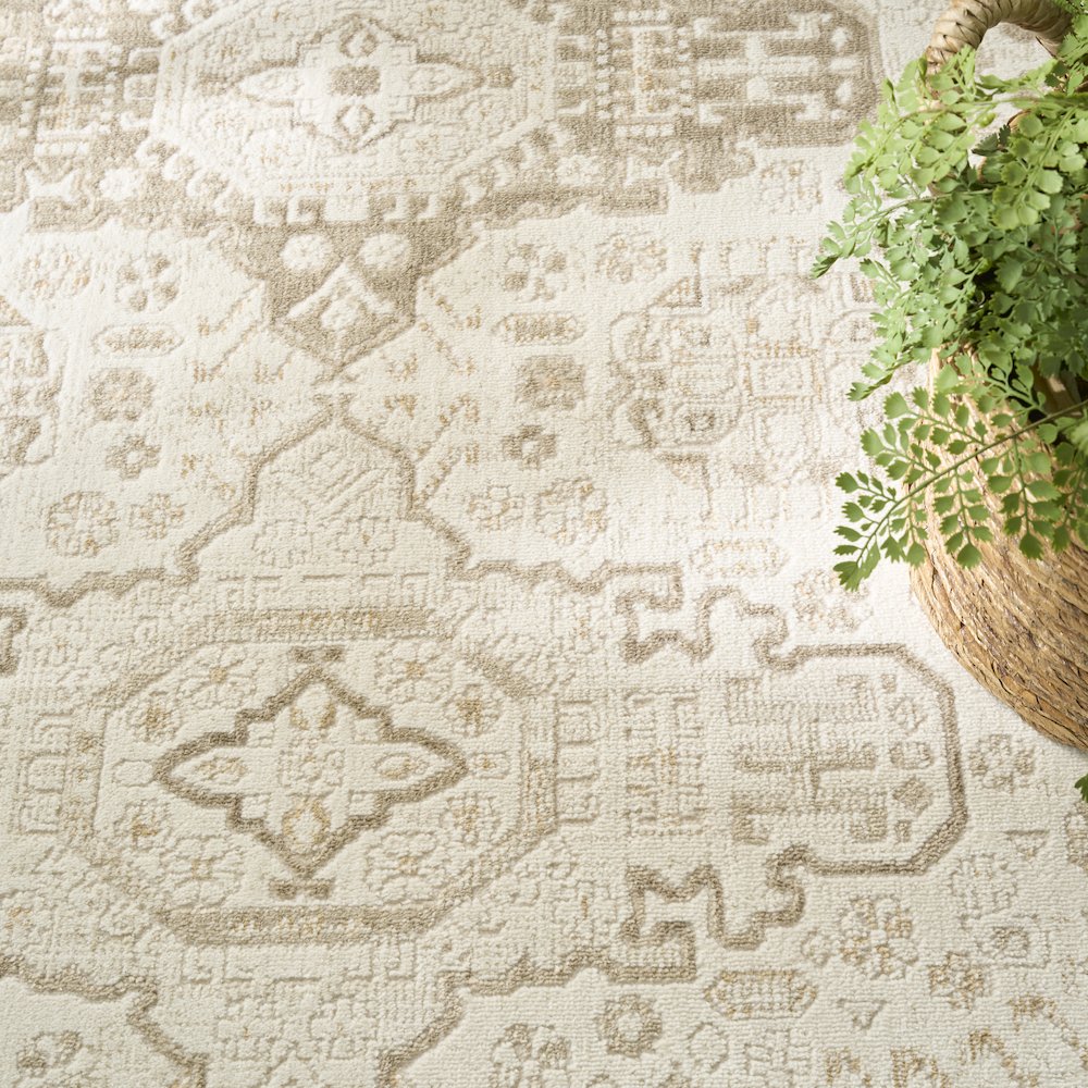 Nourison Home Pardis Area Rug. Picture 8