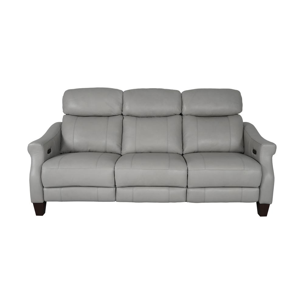 Felicity 84" Zero Gravity Power Reclining Sofa in Silver Leather. Picture 1