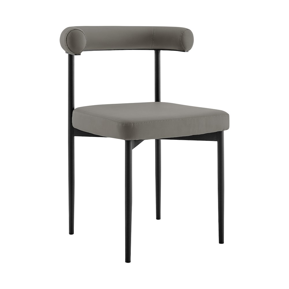 Shannon Dining Chair with Matte Black Iron. Picture 2
