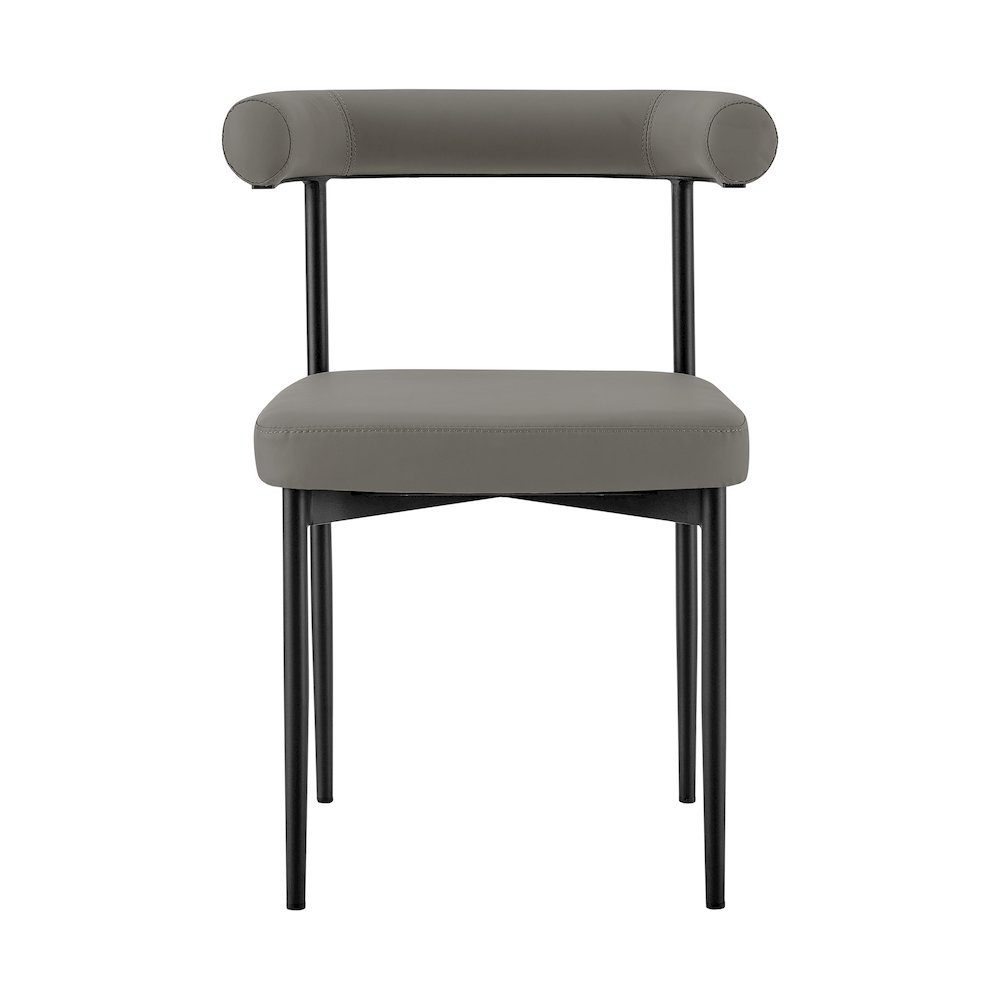 Shannon Dining Chair with Matte Black Iron. Picture 3