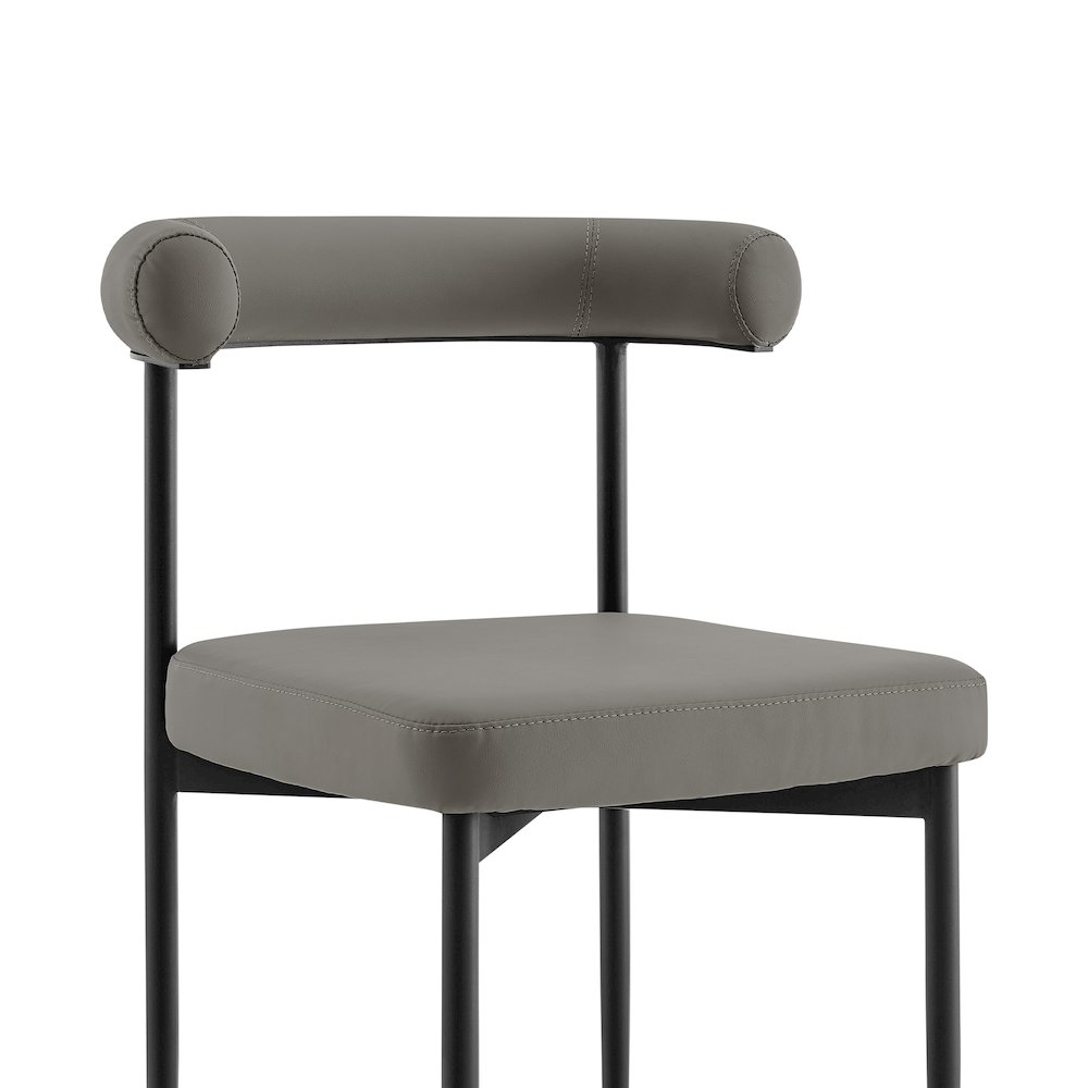 Shannon Dining Chair with Matte Black Iron. Picture 5