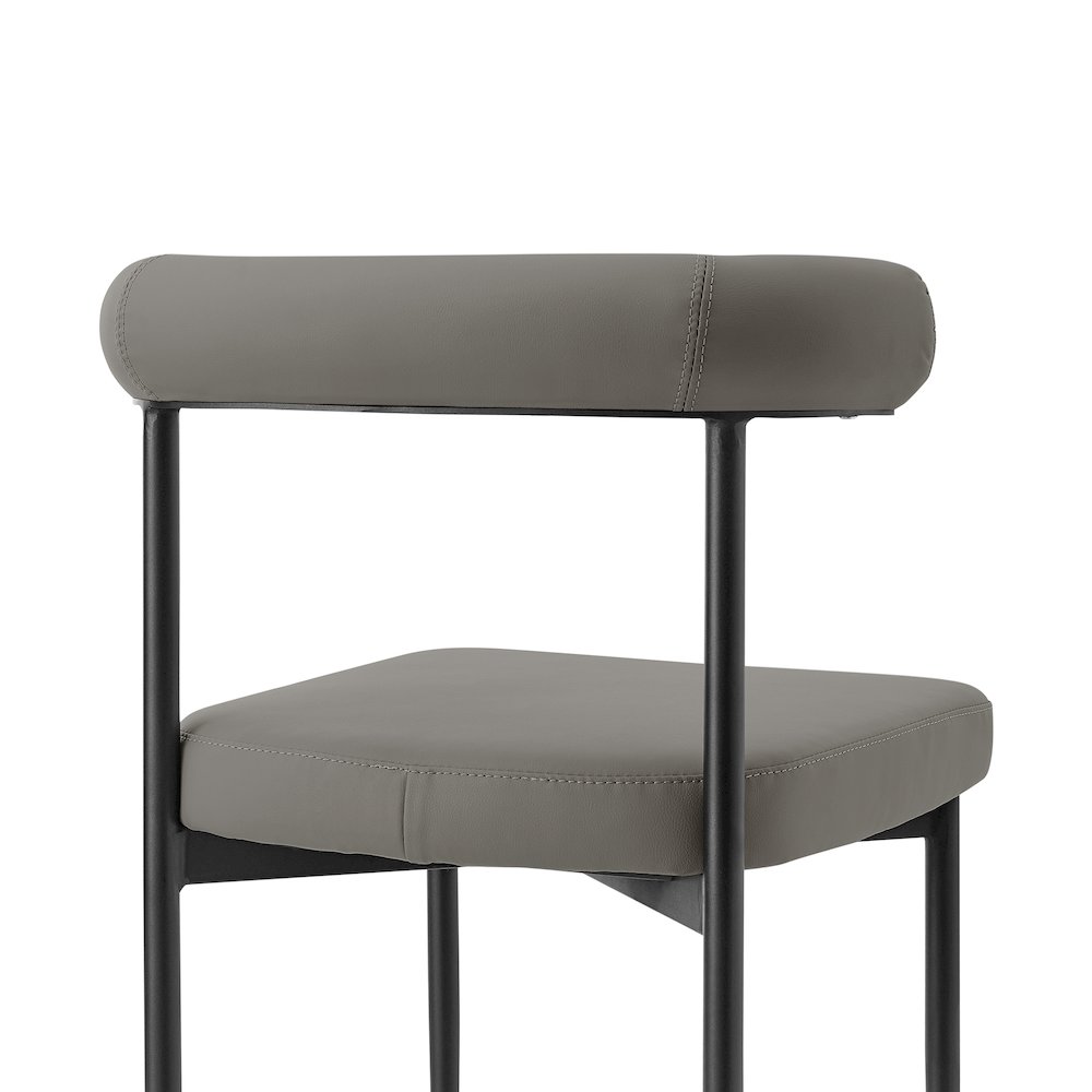 Shannon Dining Chair with Matte Black Iron. Picture 6
