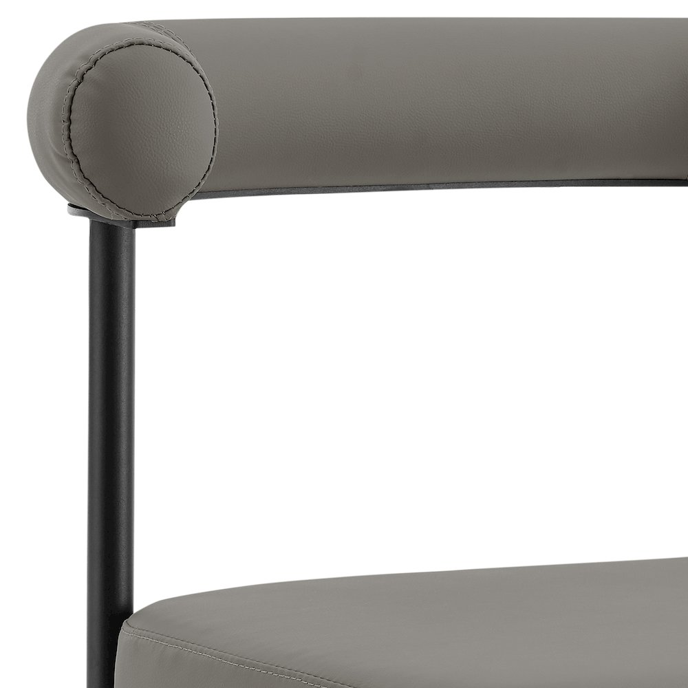 Shannon Dining Chair with Matte Black Iron. Picture 7