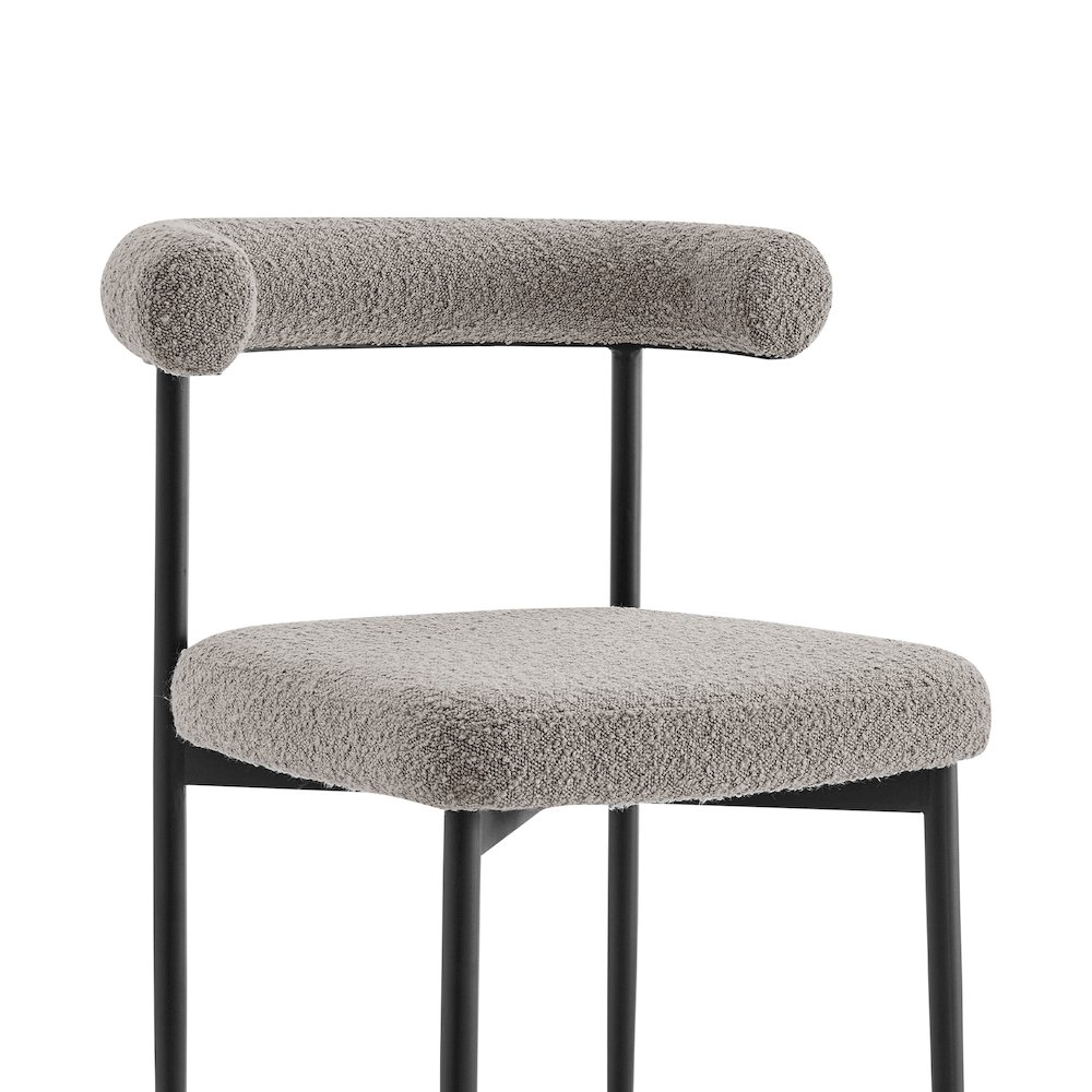 Shannon Dining Chair with Matte Black Iron Finish. Picture 5