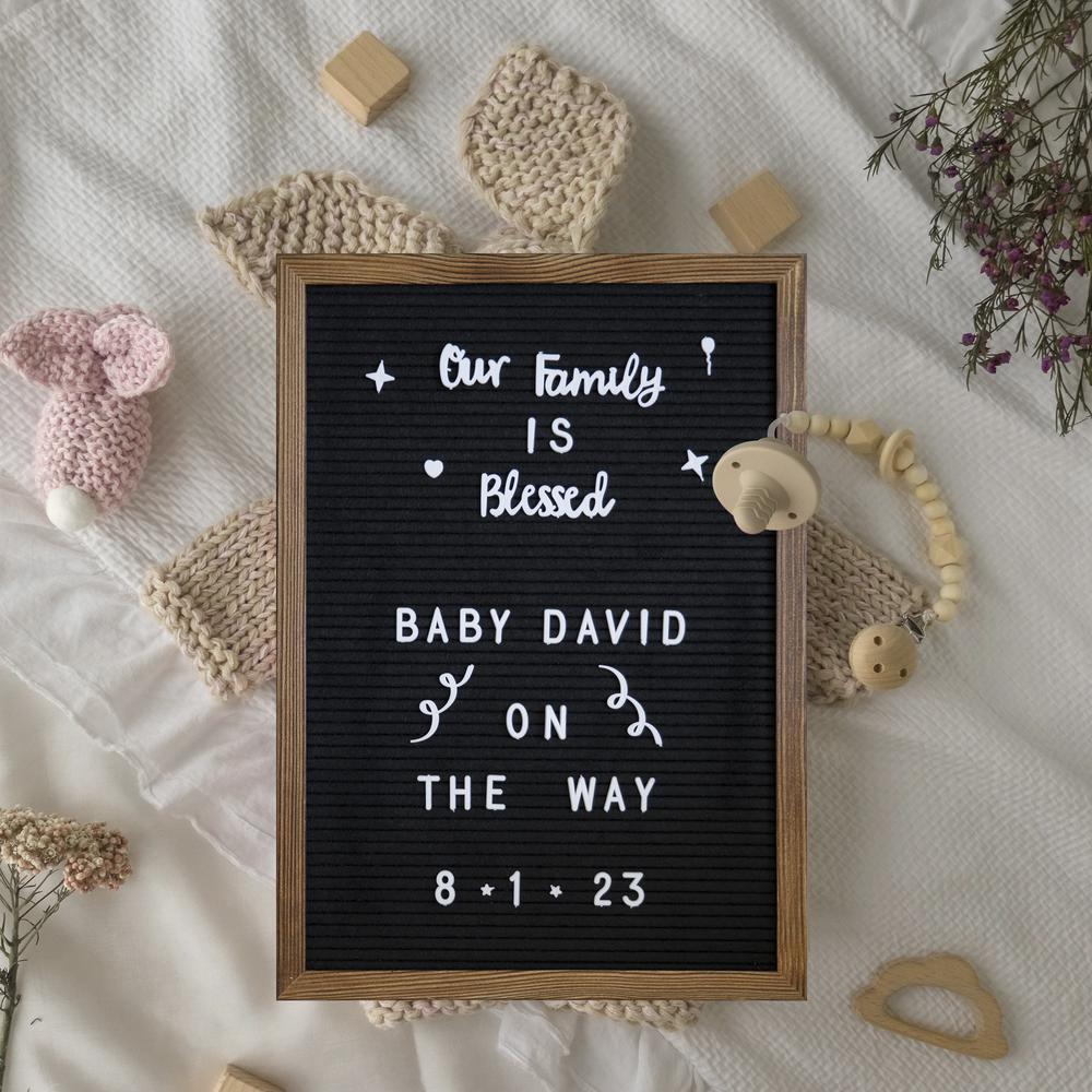 Contemporary 12 x 17 Felt Letter Board. Picture 9