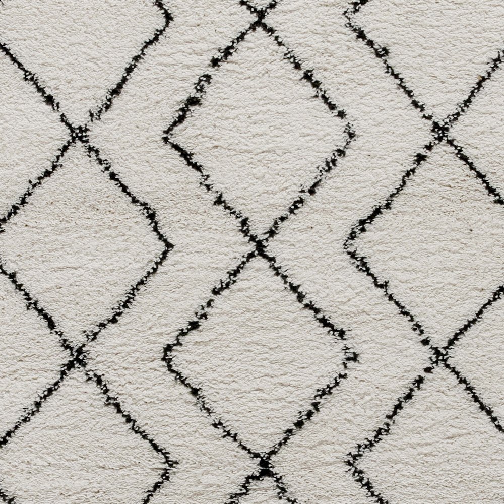 Geometric Style Bohemian Shag Area Rug - 8' x 10' - Ivory. Picture 8