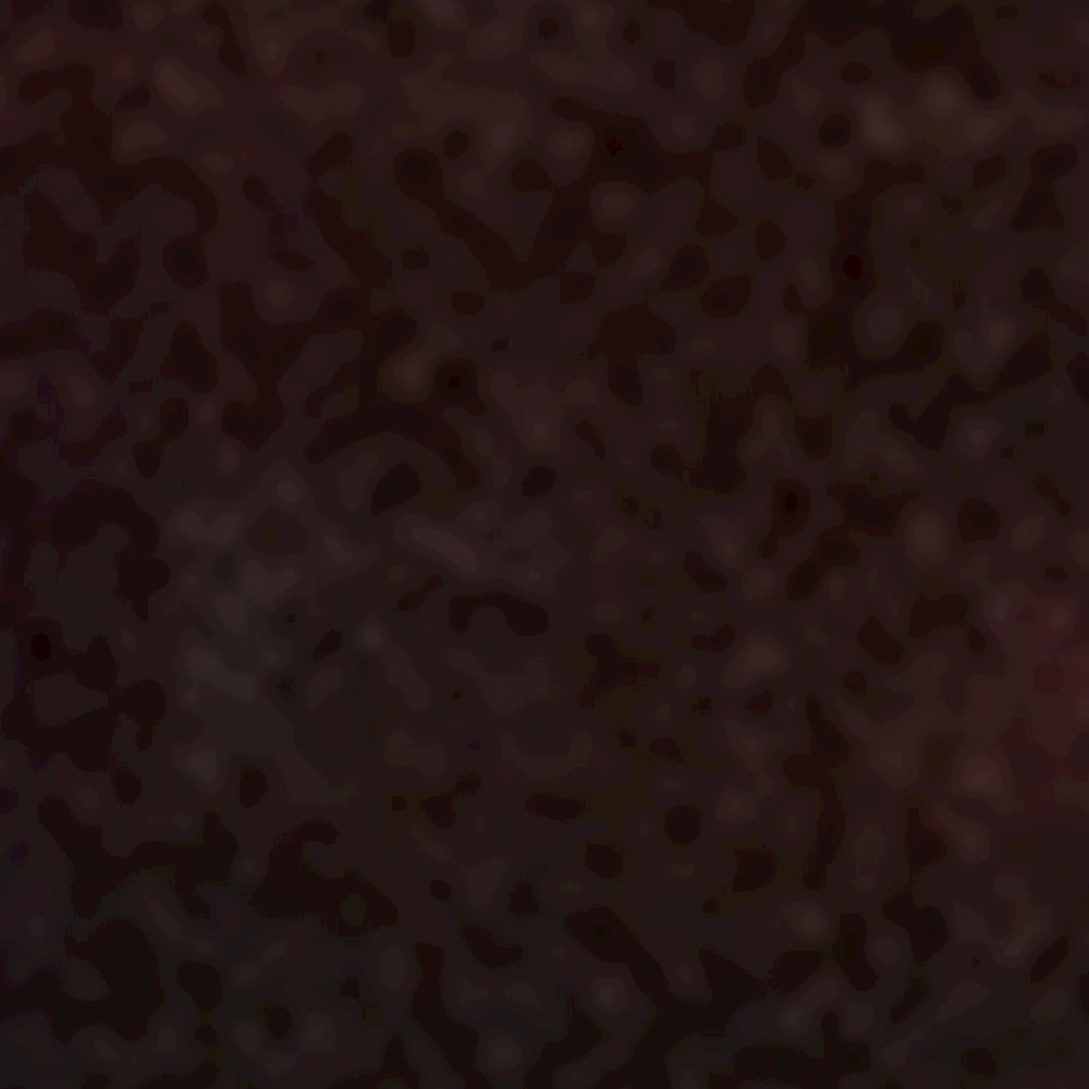 Fruitwood Chiavari Chair. Picture 12