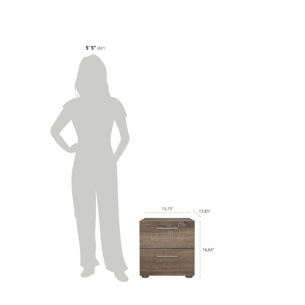 Austin 2 Drawer Nightstand, Truffle Oak. Picture 7