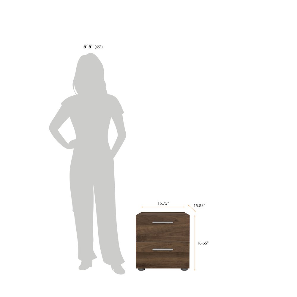 Austin 2 Drawer Nightstand, Walnut. Picture 15