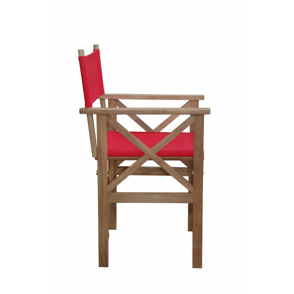 Director Folding Armchair w/ Canvas, Set of 2. Picture 1
