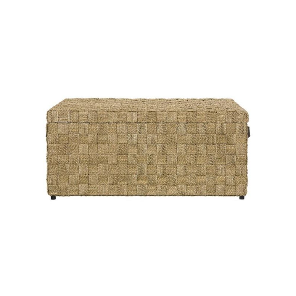 ASHBAN TRUNK. Picture 1