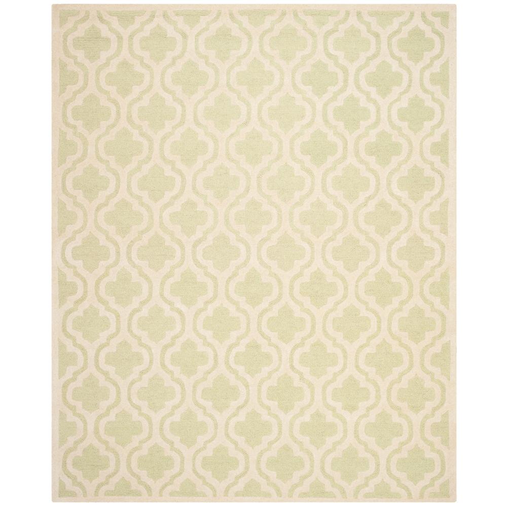 CAMBRIDGE, LIGHT GREEN / IVORY, 9' X 12', Area Rug, CAM132B-9. Picture 1