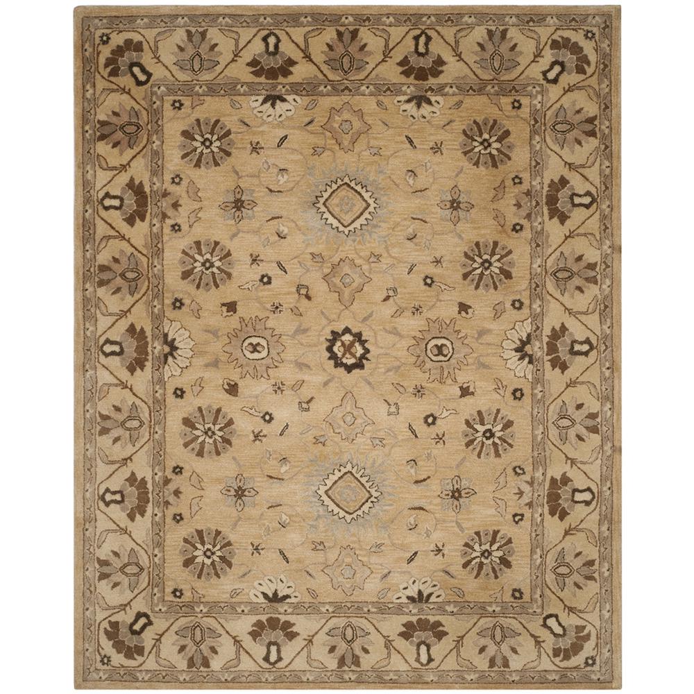 ANATOLIA, BEIGE / BEIGE, 8' X 10', Area Rug, AN586G-8. Picture 1
