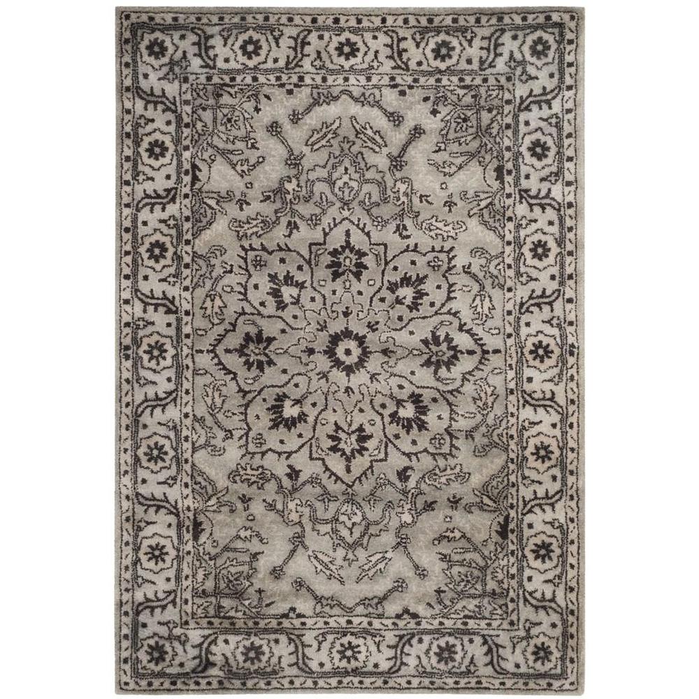 ANTIQUITY, GREY / BEIGE, 4' X 6', Area Rug. Picture 1