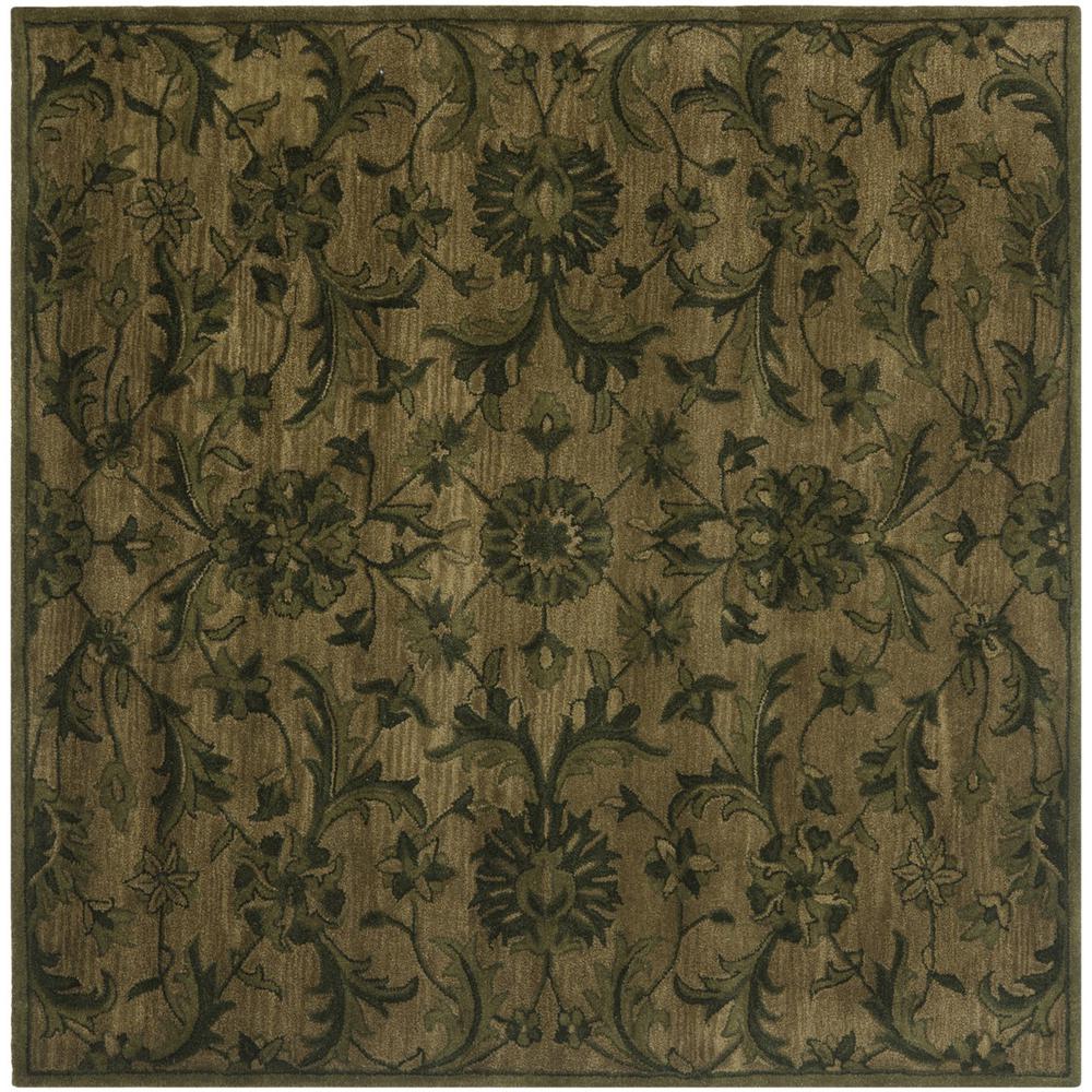 ANTIQUITY, OLIVE / GREEN, 6' X 6' Square, Area Rug. Picture 1