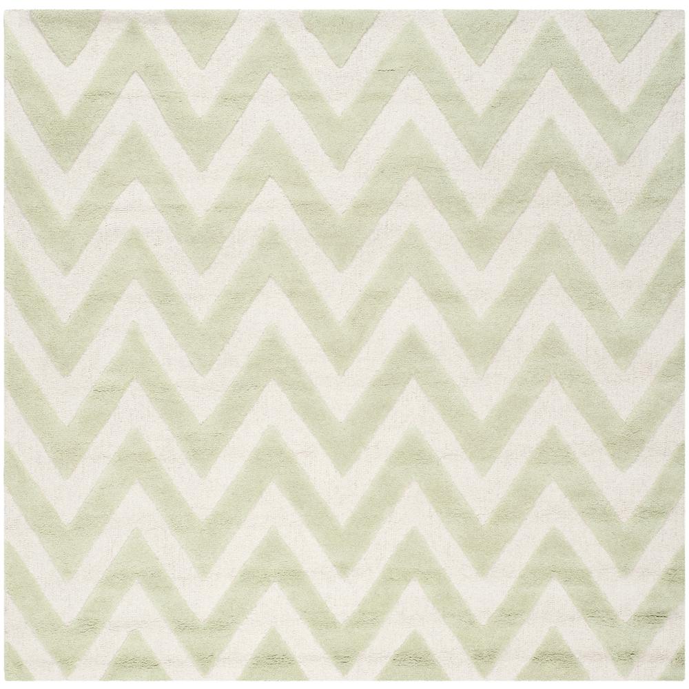 CAMBRIDGE, LIGHT GREEN / IVORY, 6' X 6' Square, Area Rug, CAM139B-6SQ. Picture 1