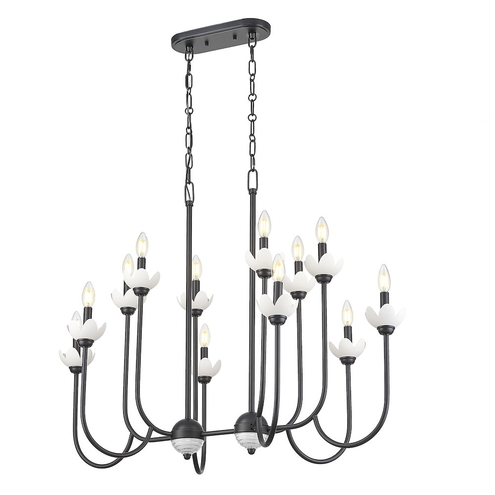 Z-Lite Allistair 12 Light Linear Chandelier in Matte Black color, Steel frame. Picture 2