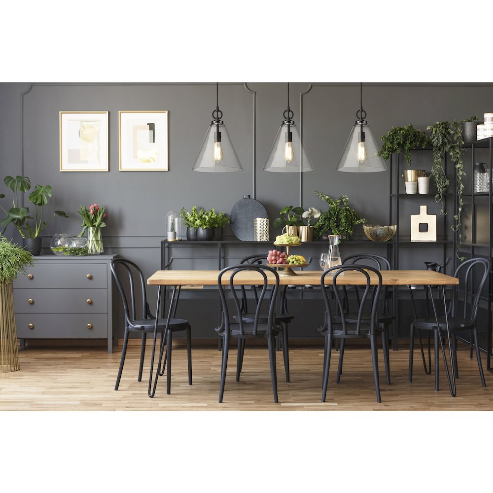 Z-Lite 1 Light Pendant. Picture 6