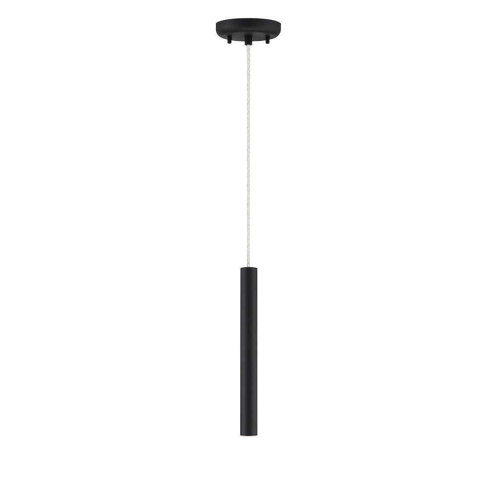 Z-Lite 1 Light Pendant. Picture 3