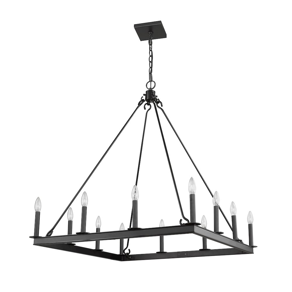 Z-Lite 12 Light Chandelier. Picture 5