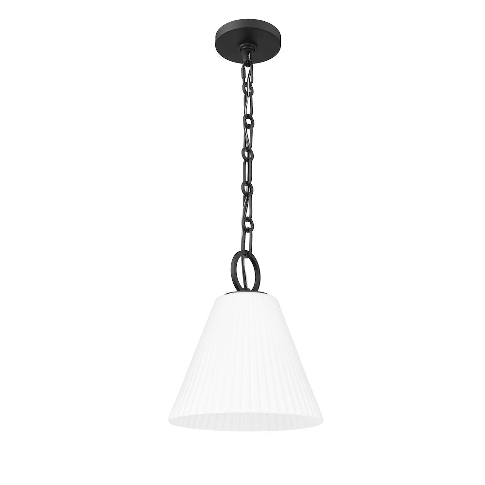 Z-Lite 1 Light Pendant. Picture 5