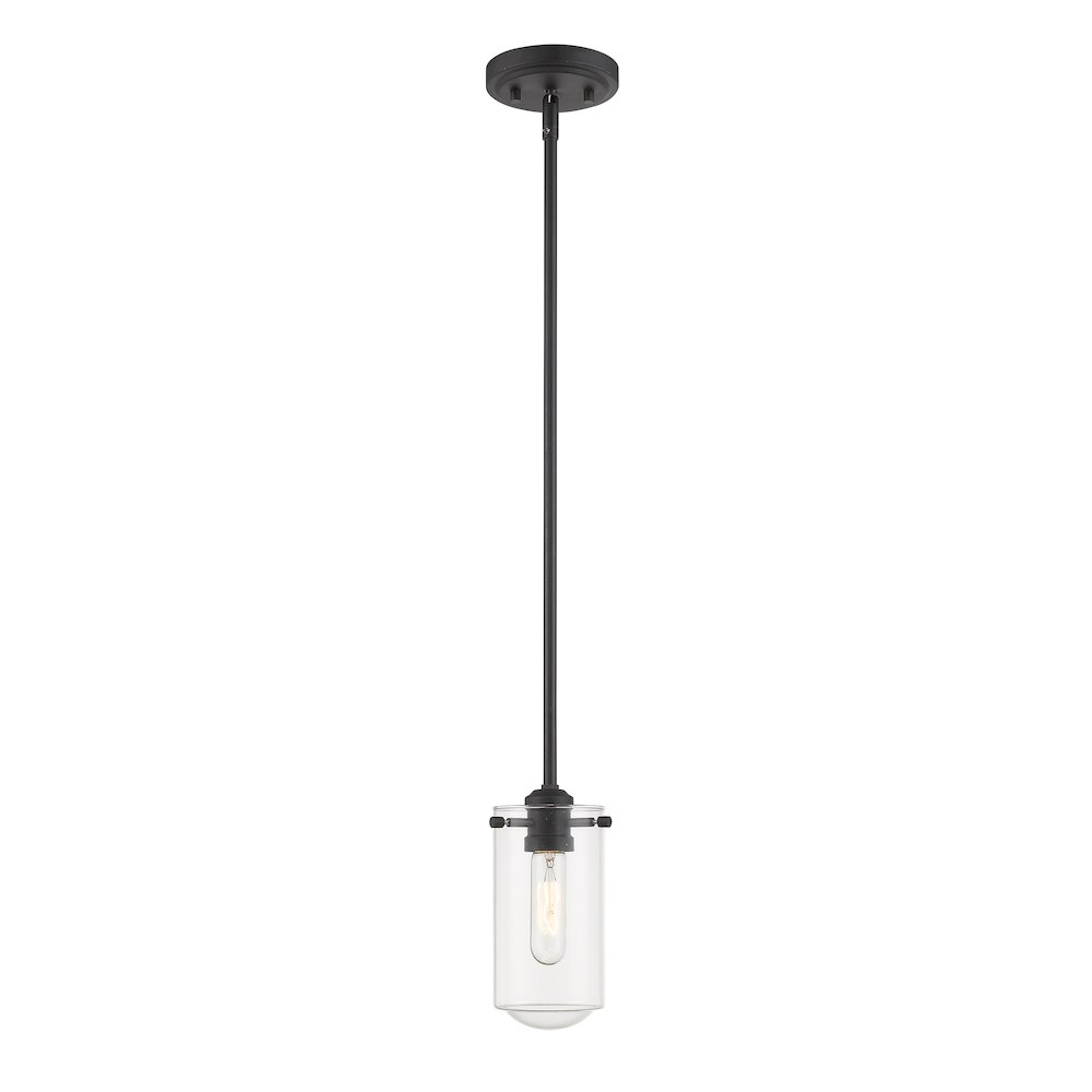 Z-Lite 1 Light Pendant. Picture 1