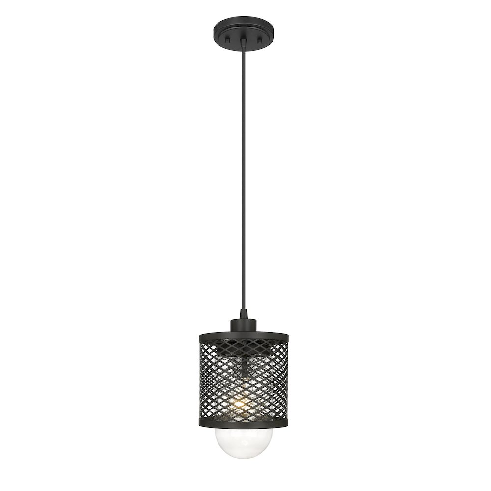Z-Lite 1 Light Pendant. Picture 2