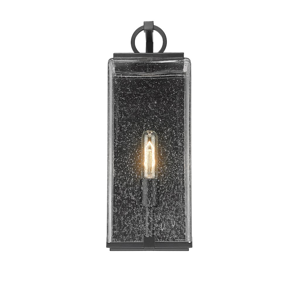 Z-Lite 1 Light Outdoor Wall Light. Picture 3