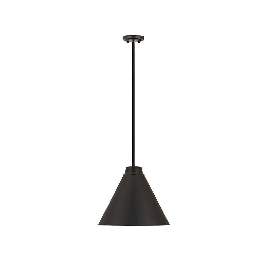 Z-Lite 1 Light Pendant. Picture 2