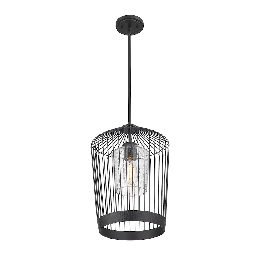 Z-Lite 1 Light Pendant. Picture 3