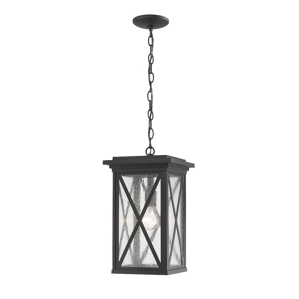 Z-Lite 1 Light Outdoor Chain Mount Ceiling Fixture. Picture 1