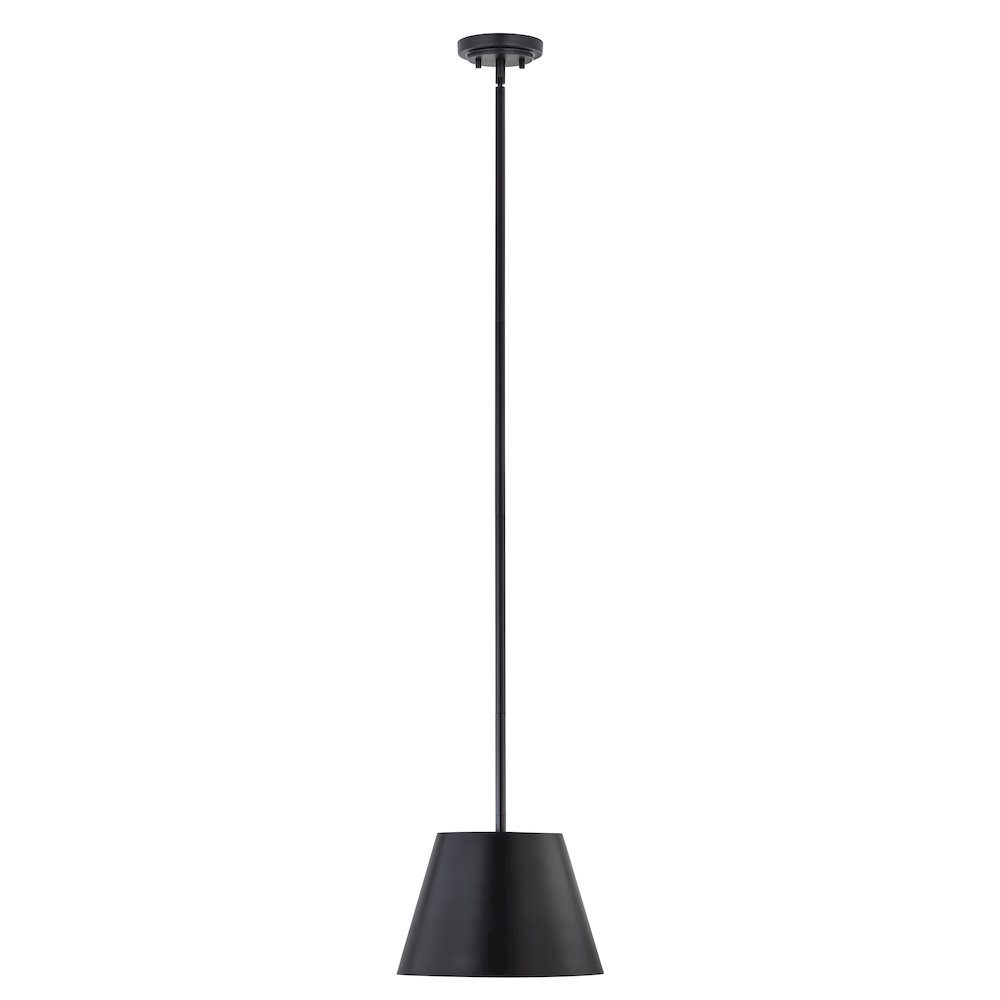 Z-Lite 1 Light Pendant. Picture 1