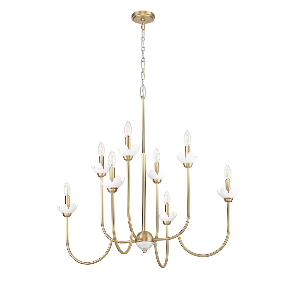 Z-Lite Allistair 8 Light Chandelier in Modern Gold color, Steel frame. Picture 5