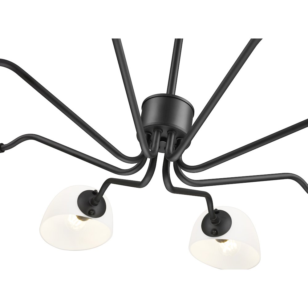Z-Lite 8 Light Chandelier, Matte Black. Picture 4