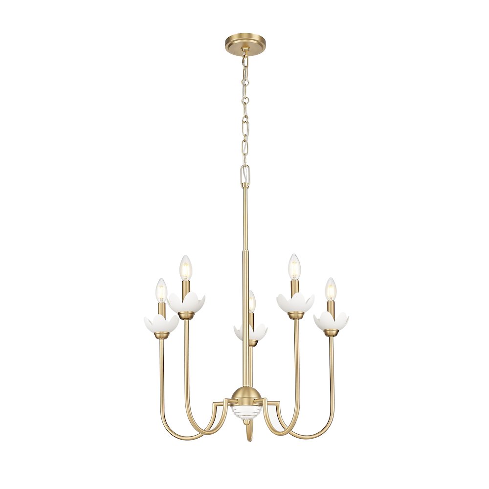 Z-Lite Allistair 5 Light Chandelier in Modern Gold color, Steel frame. Picture 3