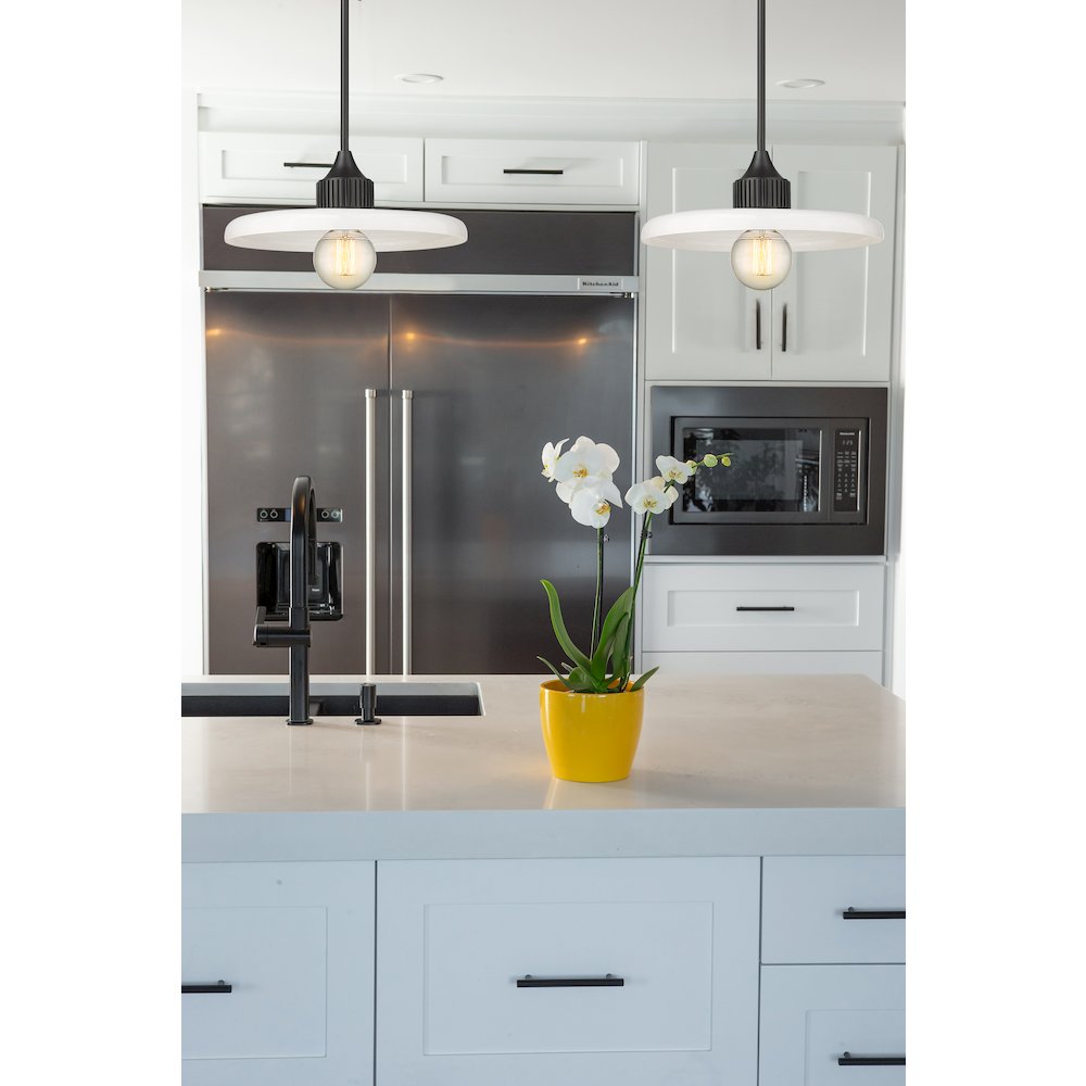 Z-Lite 1 Light Pendant. Picture 6