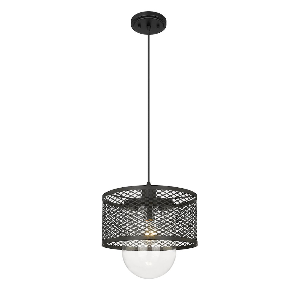 Z-Lite 1 Light Pendant. Picture 1